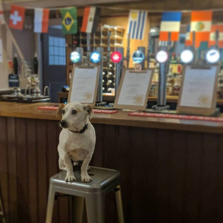 Biscuit and Barrel Reading