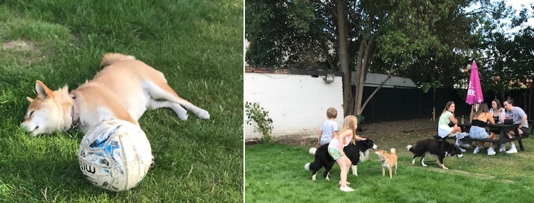 Reading Pubs coronavirus